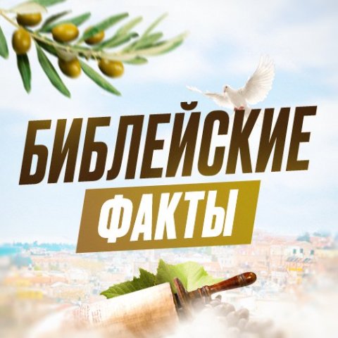 Библейские факты